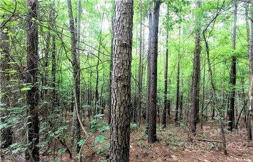 8 Chasewood Dr, Rutherfordton, NC, 28139 | Card Image