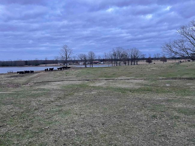 571 Honeysuckle Rd, House other with 3 bedrooms, 3 bathrooms and null parking in Bald Knob AR | Image 50