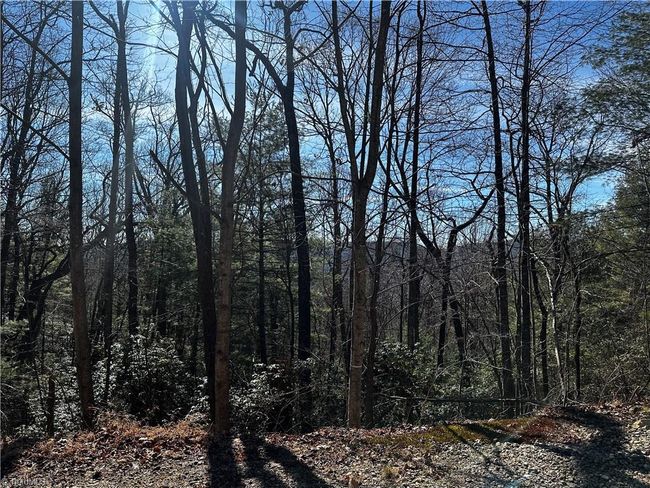 209 Casey Mountain Rd, Home with 0 bedrooms, 0 bathrooms and null parking in Purlear NC | Image 11