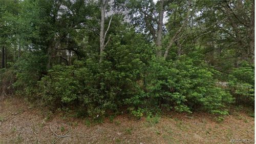 8547 N Fauci Point, Crystal River, FL, 34428 | Card Image