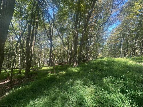 lot-68-innsbruck-lot 68 Clover Dr, Terra Alta, WV, 26764-2740 | Card Image