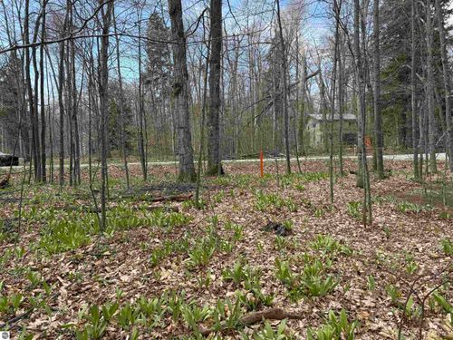 0000 E Sugar Maple Dr, Cedar, MI, 49621 | Card Image