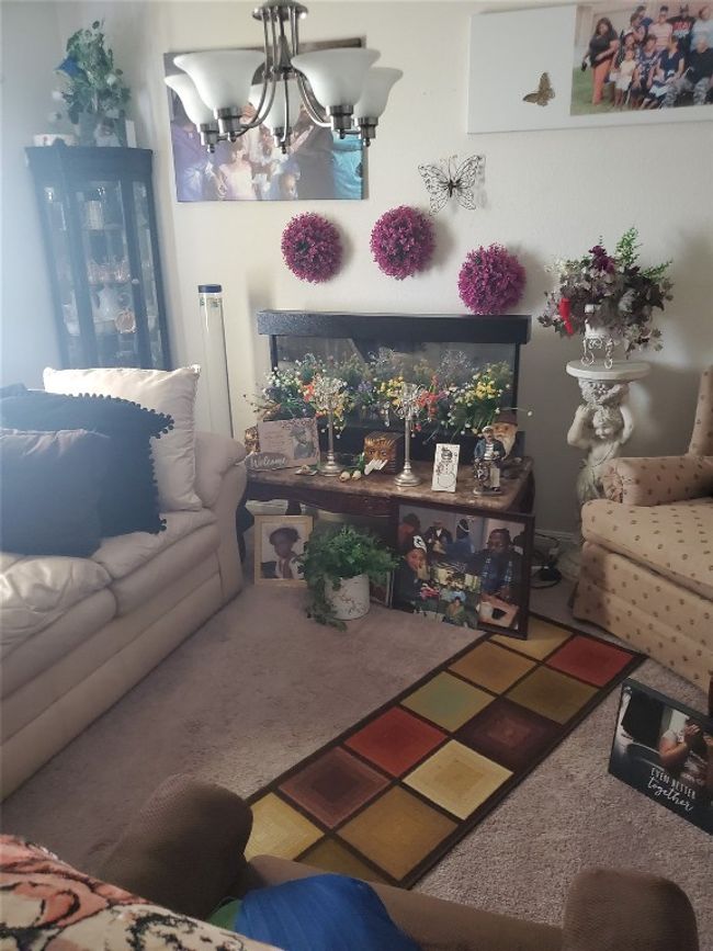 11821 Pecangate Way, House other with 5 bedrooms, 3 bathrooms and 4 parking in Manor TX | Image 6