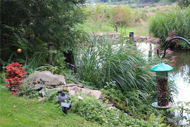 Your Private Pond With Waterfall | Image 23