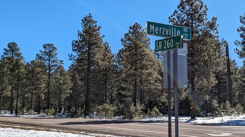 234-1019 Merzville Rd, Forest Lakes, AZ, 85931-0088 | Card Image