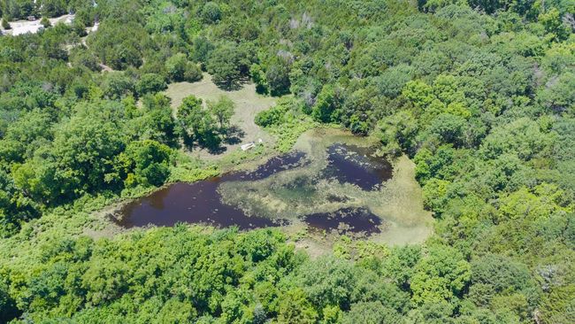 Large pond approximately 1 acre in size! | Image 13