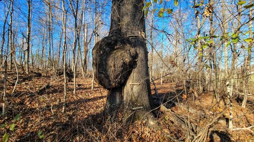 0 Leive Road, Bennington, IN, 47011 | Card Image