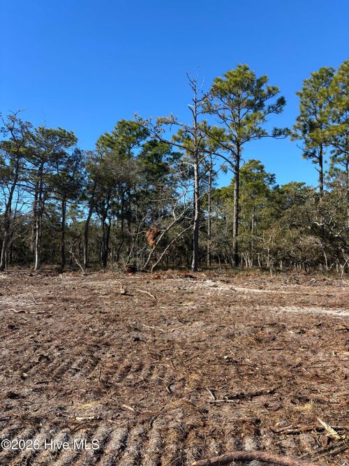 Lot 132 Coral Gull Street, Southport, NC, 28461 | Card Image