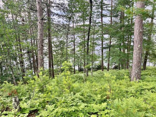 TBD Raps Rd, Cook, MN, 55723 | Card Image