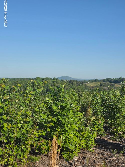 1618 Skeen View Rd, Asheboro, NC, 27205-2459 | Card Image