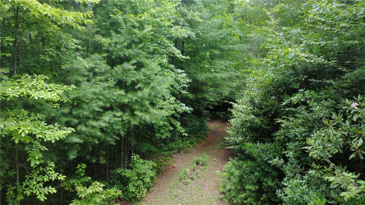 Land in Lenoir 2