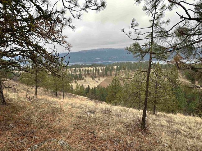 3312X Daisy Mine Rd, Home with 0 bedrooms, 0 bathrooms and null parking in Rice WA | Image 13