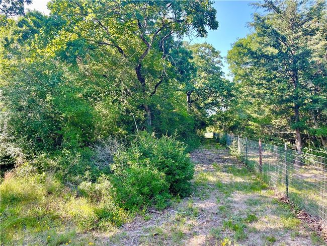 9264 Stetson Drive, Home with 0 bedrooms, 0 bathrooms and null parking in Normangee TX | Image 10
