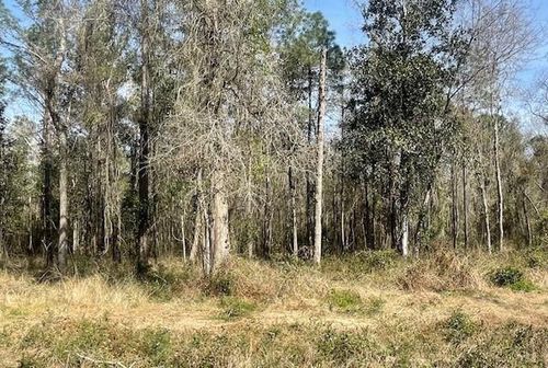 Lot 306 D 190 Highway, Lacombe, LA, 70445 | Card Image