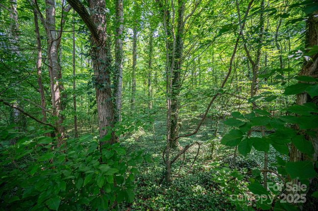 812 Trinity Ln, Home with 0 bedrooms, 0 bathrooms and null parking in Iron Station NC | Image 4