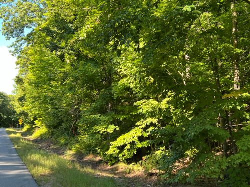 0 Jersey Swamp Rd, Morrisonville, NY, 12962 | Card Image