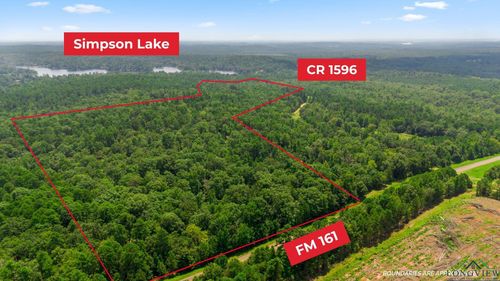 TBD County Road 1596, Avinger, TX, 75630 | Card Image