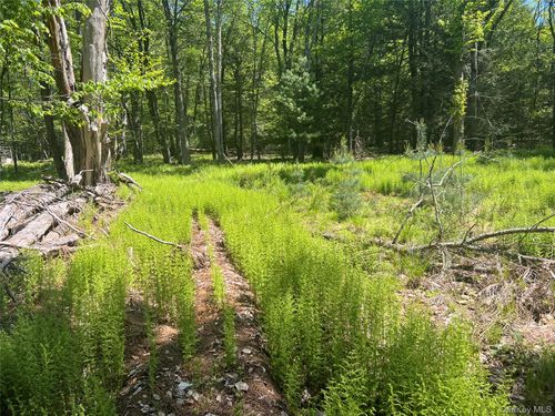 95 Old Tacy Rd, Swan Lake, NY, 12783-5214 | Card Image