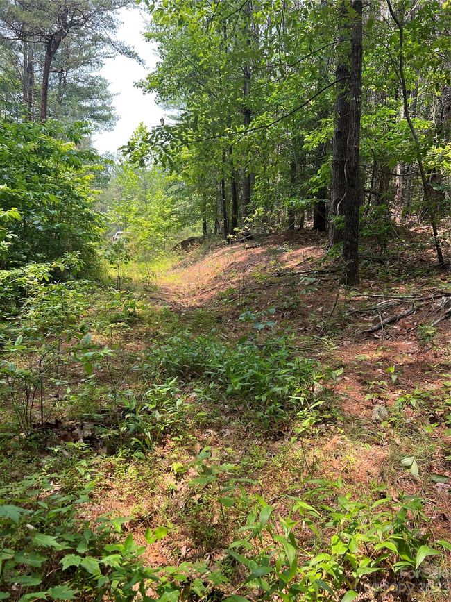 29 - 9589 Shortoff View Ter, Home with 0 bedrooms, 0 bathrooms and null parking in Nebo NC | Image 16