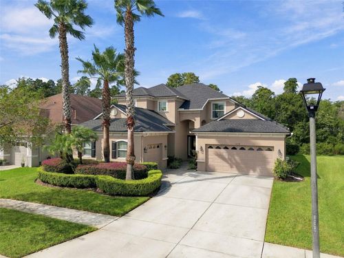 3339 Diamond Falls Cir, Land O Lakes, FL, 34638-6203 | Card Image