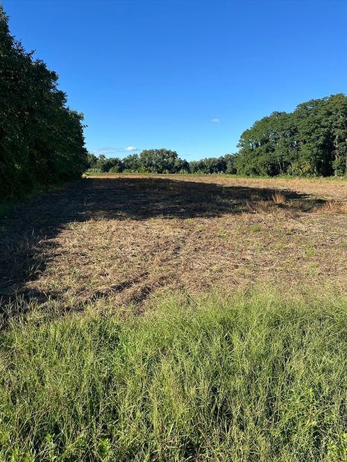 0 Elmwood Ct, Hadley, MA, 01035 | Card Image