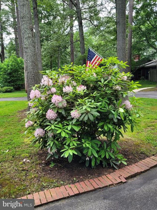 609 Twin Tree Rd, House other with 4 bedrooms, 2 bathrooms and null parking in SALISBURY MD | Image 36