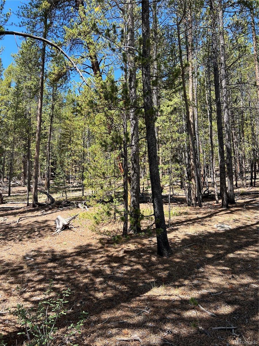 Land in Fairplay 3