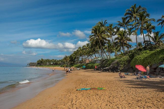 This scenic beach minutes away from The Palms offers sun & shade for resting | Image 42