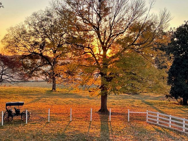 2130 Fairground Rd, House other with 5 bedrooms, 3 bathrooms and 3 parking in Guthrie KY | Image 23