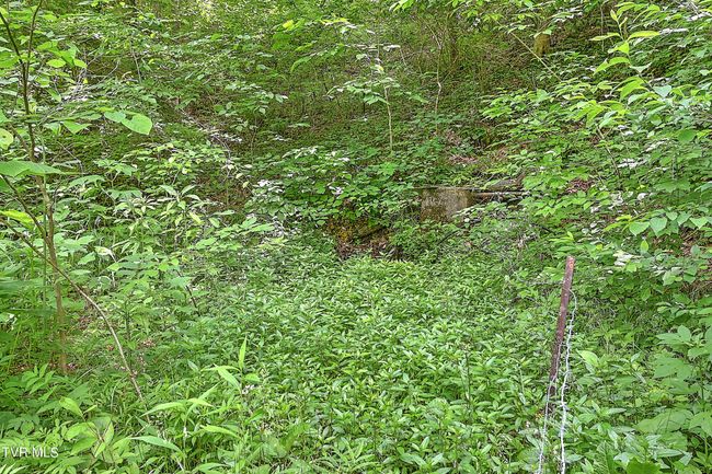 000 Goode Hollow Rd, Home with 0 bedrooms, 0 bathrooms and null parking in Duffield VA | Image 21