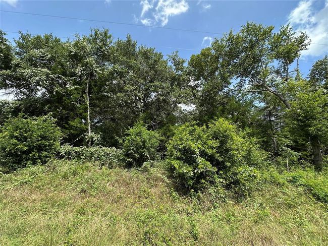 000000 Overlook Rd, Home with 0 bedrooms, 0 bathrooms and null parking in Caldwell TX | Image 7