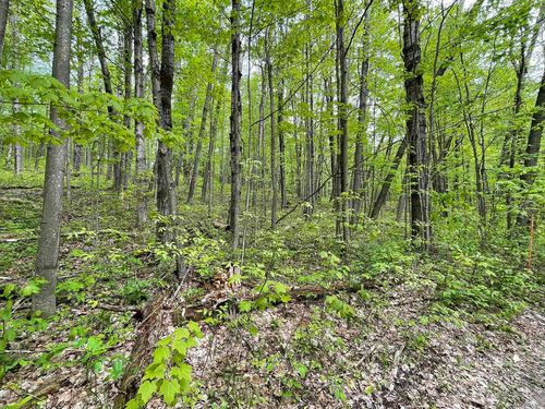 10A-Brandt Rd Crawford Road, Jordan Township, MI, 49659 | Card Image