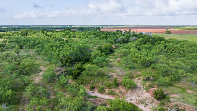 801 State Highway 153, House other with 4 bedrooms, 2 bathrooms and null parking in Wingate TX | Image 33