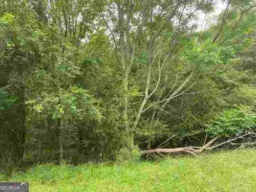 lot-9-0 River Birch Lane, Colbert, GA, 30628 | Card Image