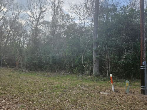 0 Winding Creek Rd, Shepherd, TX, 77371 | Card Image