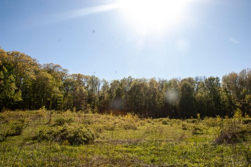 6877 N Nature Ln, La Porte, IN, 46350 | Card Image