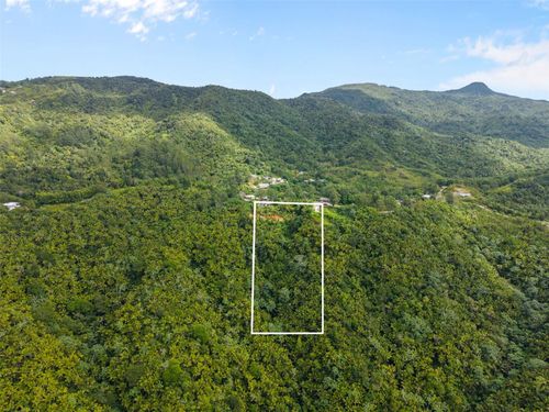 Carr 149 Finca Villa Azul, JUANA DIAZ, PR, 00795 | Card Image