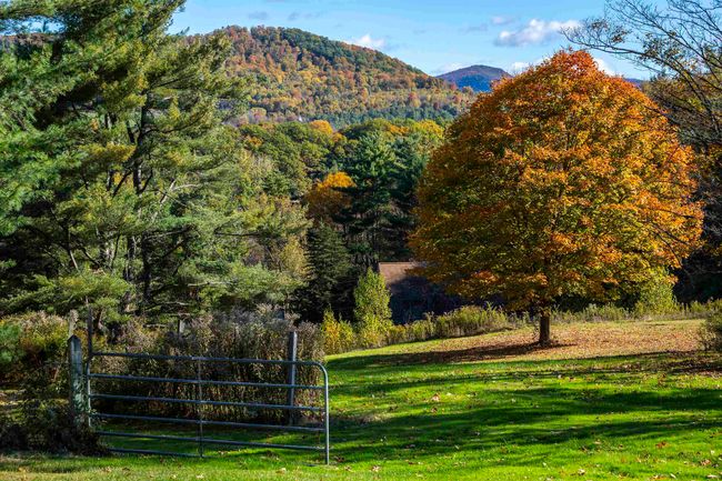 330 Rupert Hill Rd, House other with 5 bedrooms, 5 bathrooms and null parking in Pawlet VT | Image 46