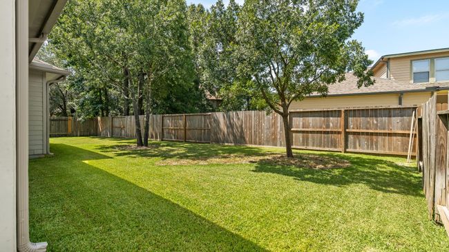 Shade trees in back | Image 40