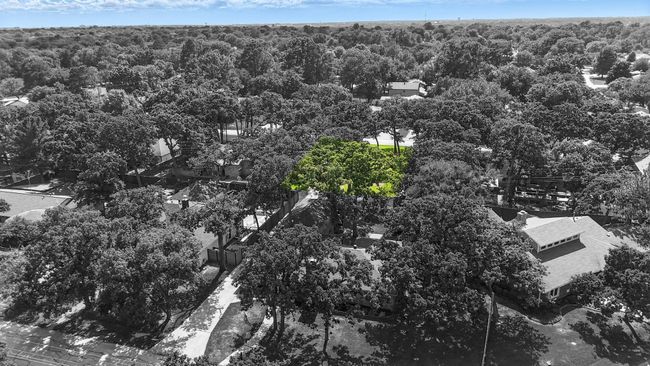 Bird's eye view of a forest | Image 9