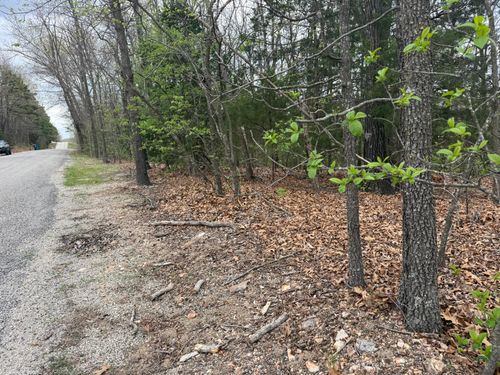 Lot 10 Entry Rd, Ridgedale, MO, 65739 | Card Image