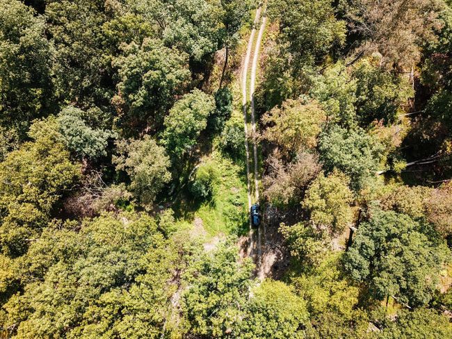 Axis Road through | Image 15