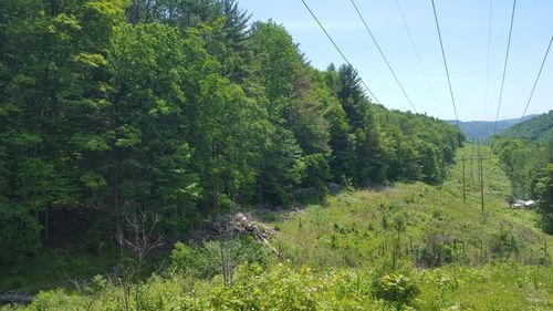 522 Justin Morrill Memorial Hwy, Strafford, VT, 05072 | Card Image