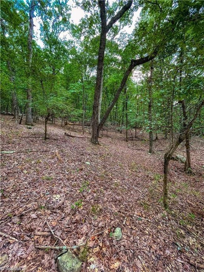 0 Rocky Cove Ln, Home with 0 bedrooms, 0 bathrooms and null parking in Denton NC | Image 9