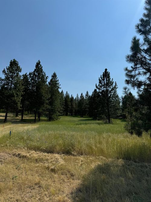 498XX Forest Dr E, Davenport, WA, 99122 | Card Image
