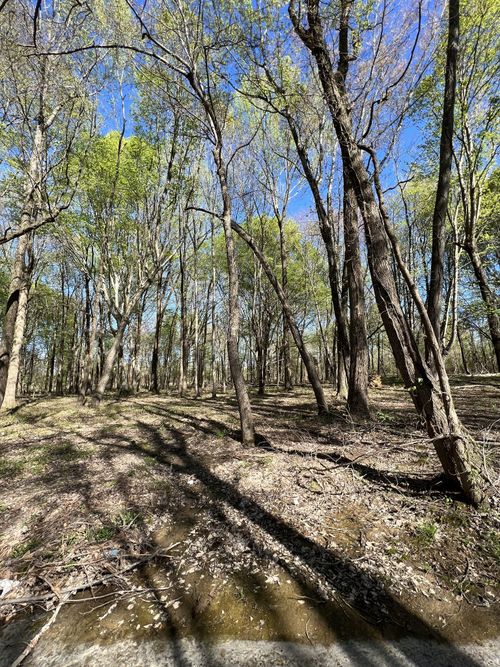 22 Highway 52 E, Lafayette, TN, 37083 | Card Image