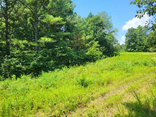 3 Strawberry Gables, Holladay, TN, 38341 | Card Image