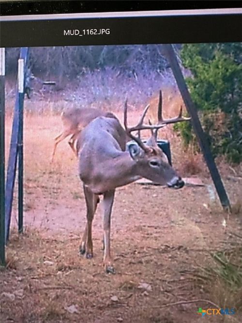 0 TBD Us-183, Lometa, TX, 76853 | Card Image