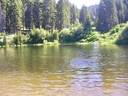 54569 Manzanita Dr, Springville, CA, 93265-9142 | Card Image