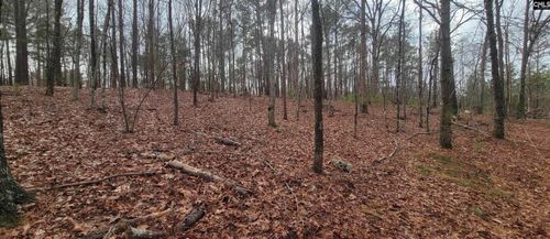 2458 Chapin Road, Chapin, SC, 29036 | Card Image